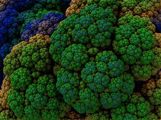 711021 (a): :2048x1536
